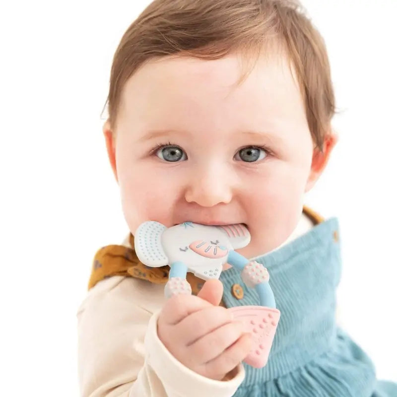 Cheeky Chompers Textured Baby Teether - Darcy The Elephant