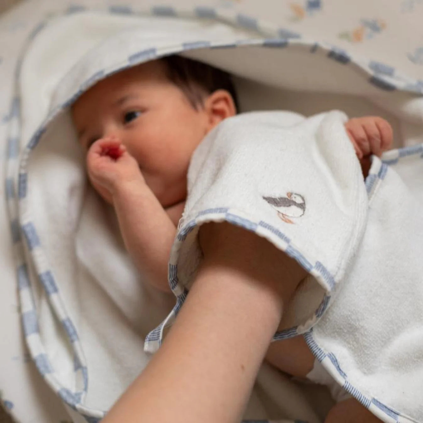 Avery Row Baby Hooded Towel - Coastline