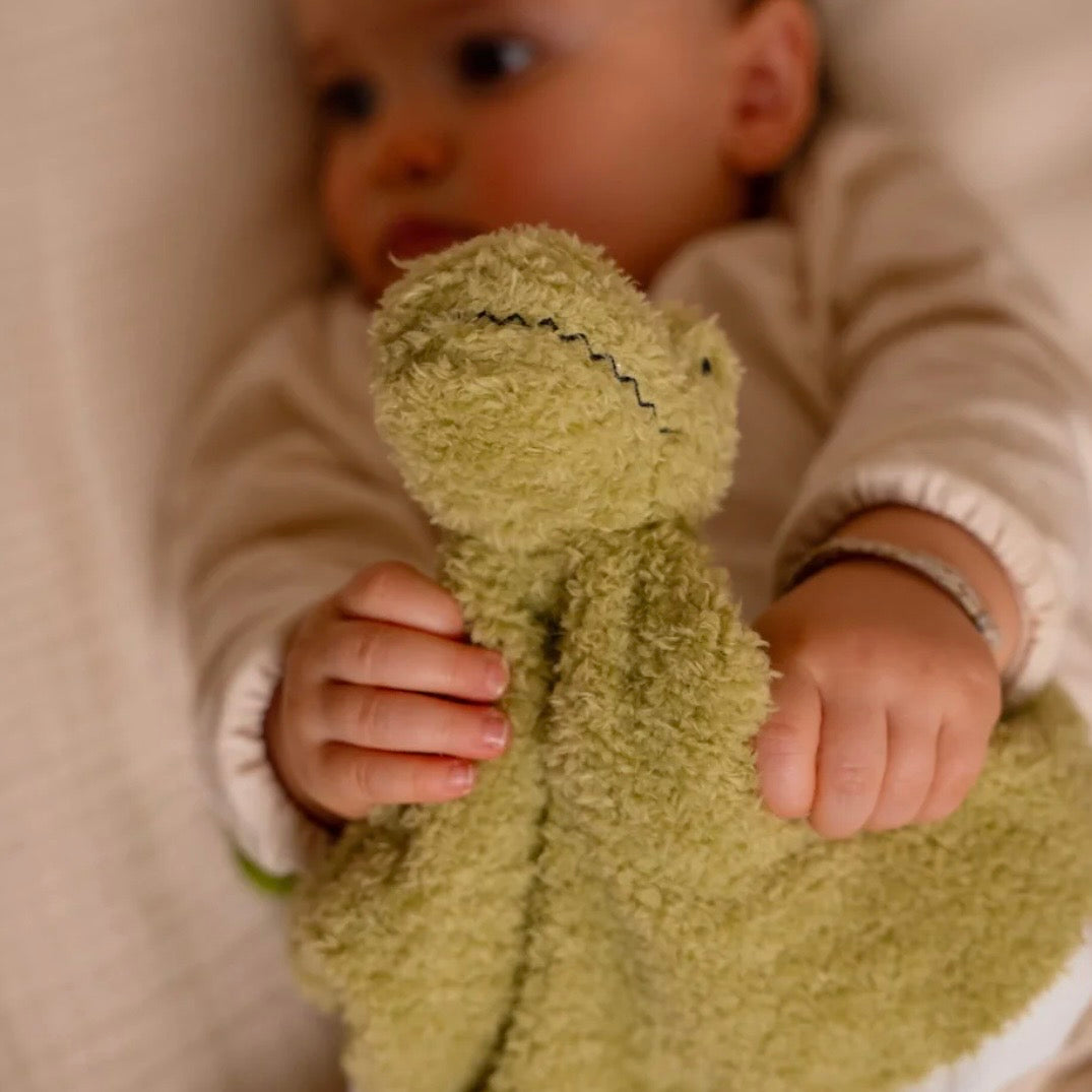 Little Big Friends Baby Gift Box - Dino Friends
