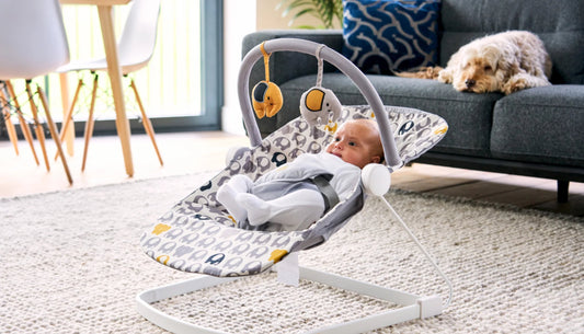 2 Critical Considerations When Shopping for Baby Bouncers