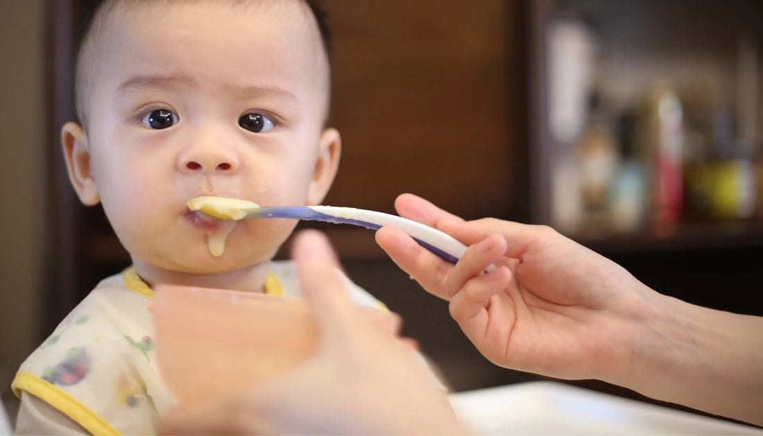 Transitioning to Solids: A Guide to Food Prep & Weaning