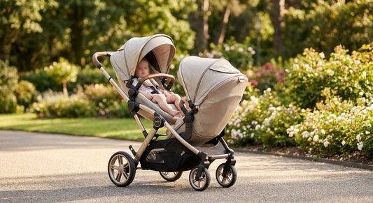 Egg strollers for twins