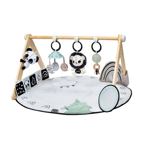 Play Gyms + Mats