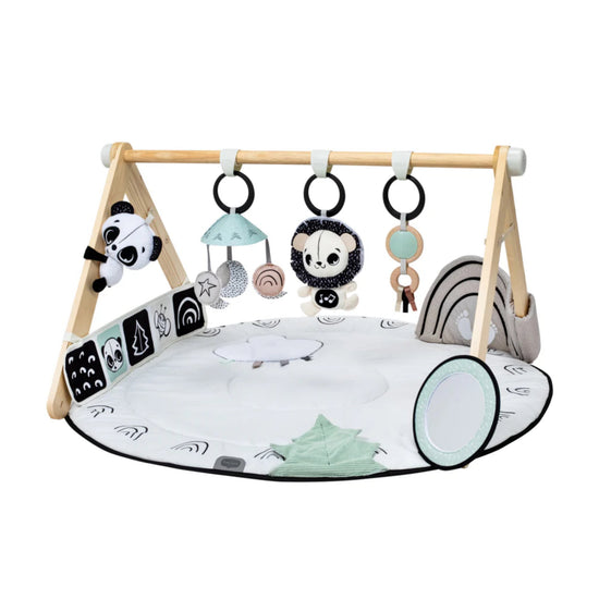 Play Gyms & Mats