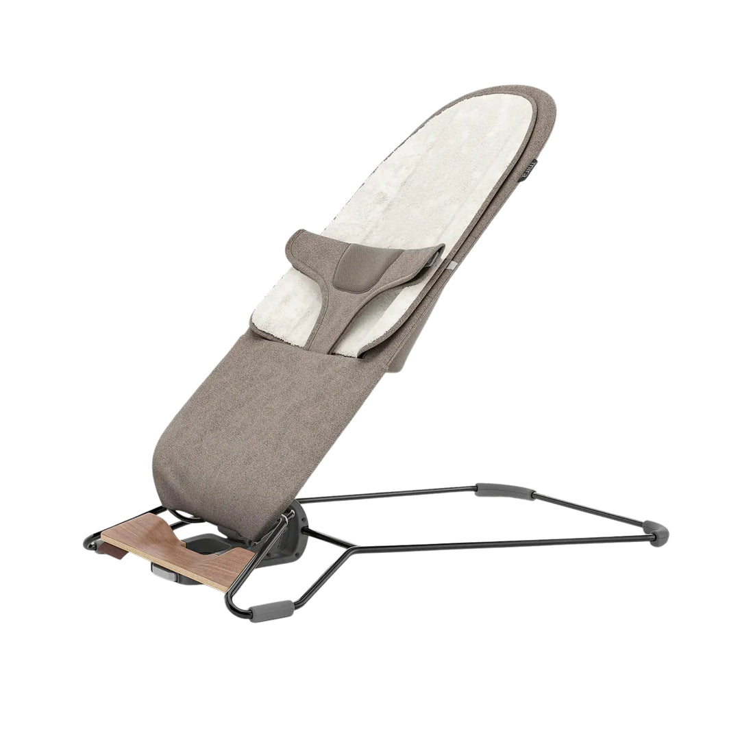 UPPAbaby bouncers