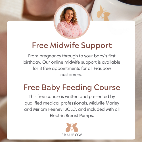 Fraupow Viva Pro Wearable Hands-Free Breast Pump - Pink