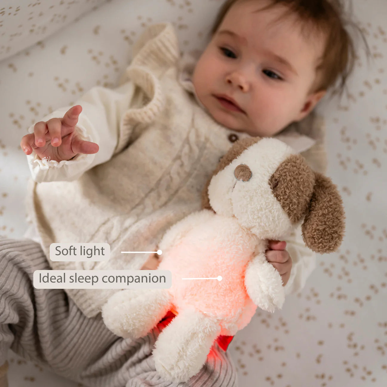 Nattou Mini Cuddly Dog Nightlight - Teddy Vanilla