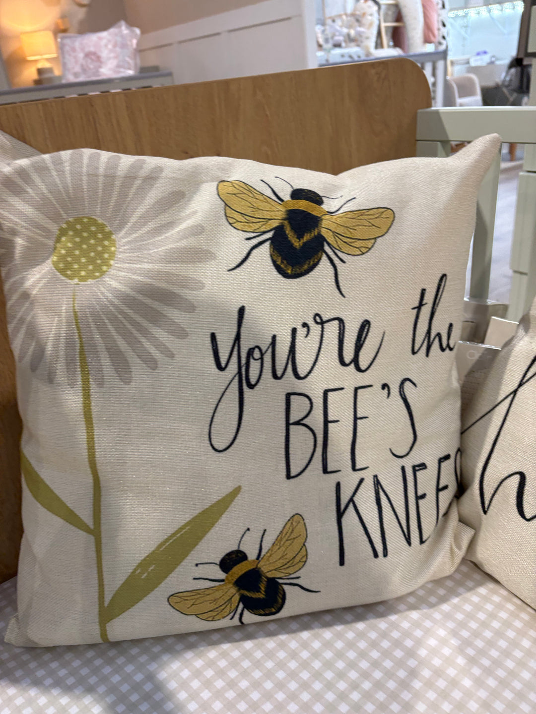 EX DISPLAY Bumblebee Cushion Set