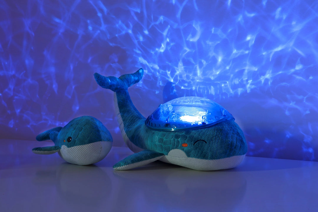 Cloud B Tranquil Whale Projector, Night Light & Sound - Blue