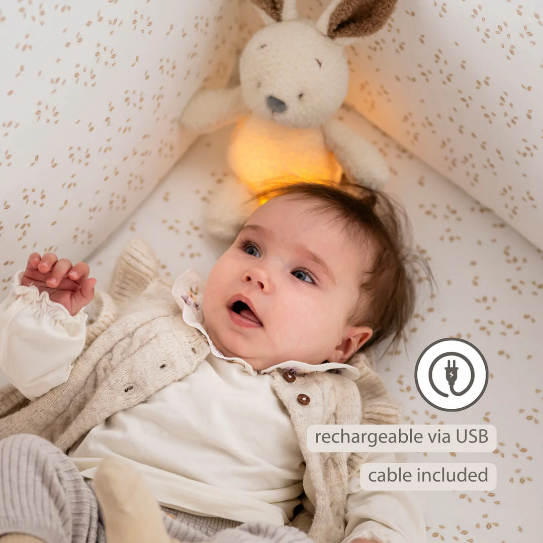 Nattou Mini Cuddly Bunny Nightlight - Teddy Vanilla