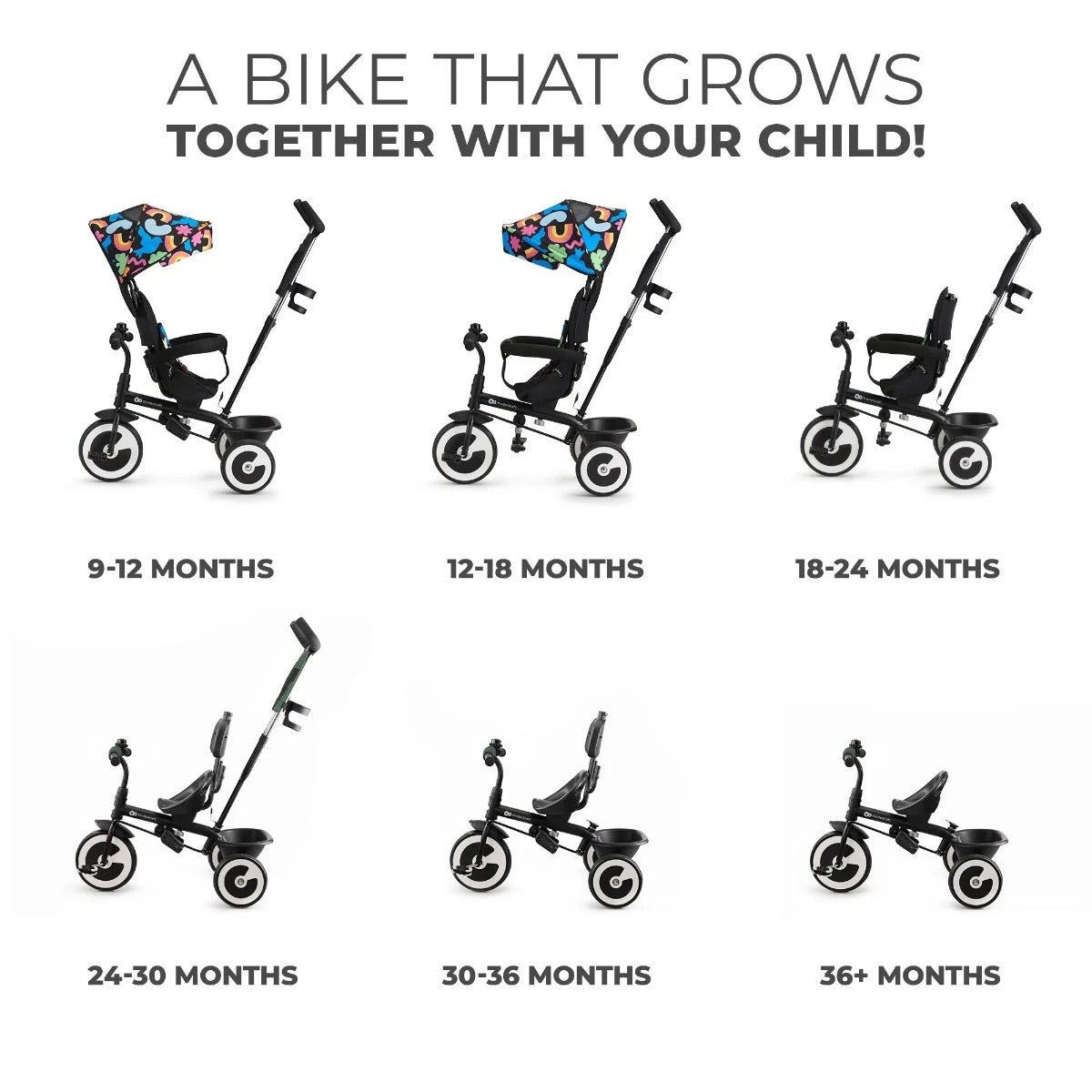 Trike 12 months sale