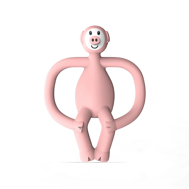 Matchstick Monkey Animal Teether - Pickle Pig