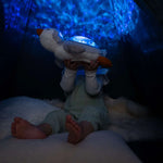 Cloud B Tranquil Penguin Musical Night Light
