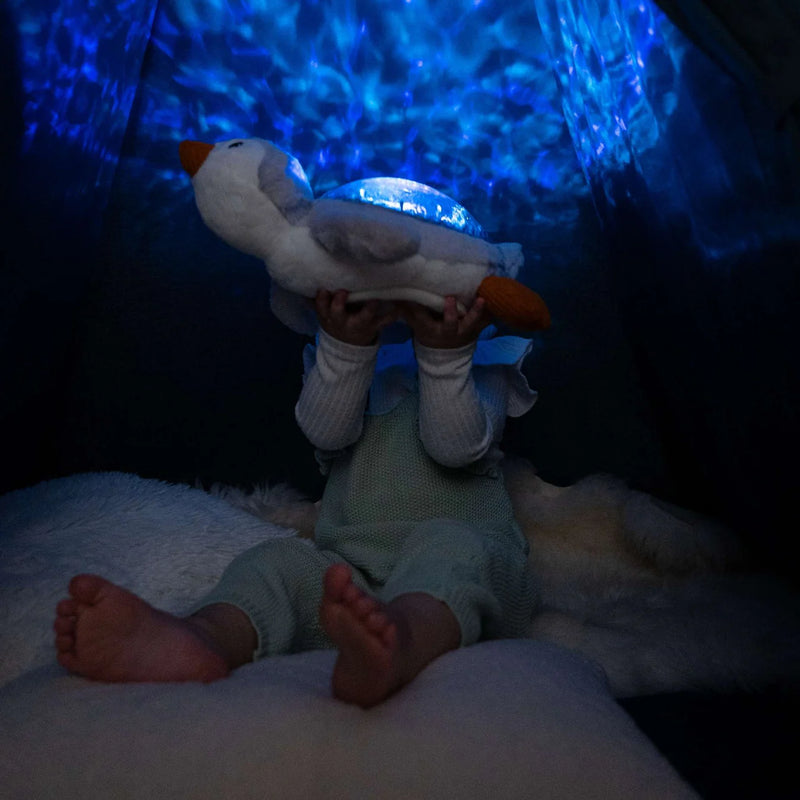 Cloud B Tranquil Penguin Musical Night Light