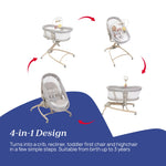Chicco Baby Hug 4 in 1 Armonia - Scandinavian