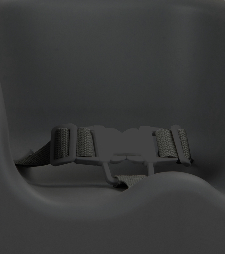 bebeconfort Essential Booster Seat