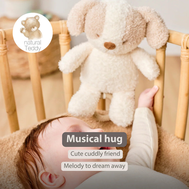 Nattou Musical Teddy - Baby Dog