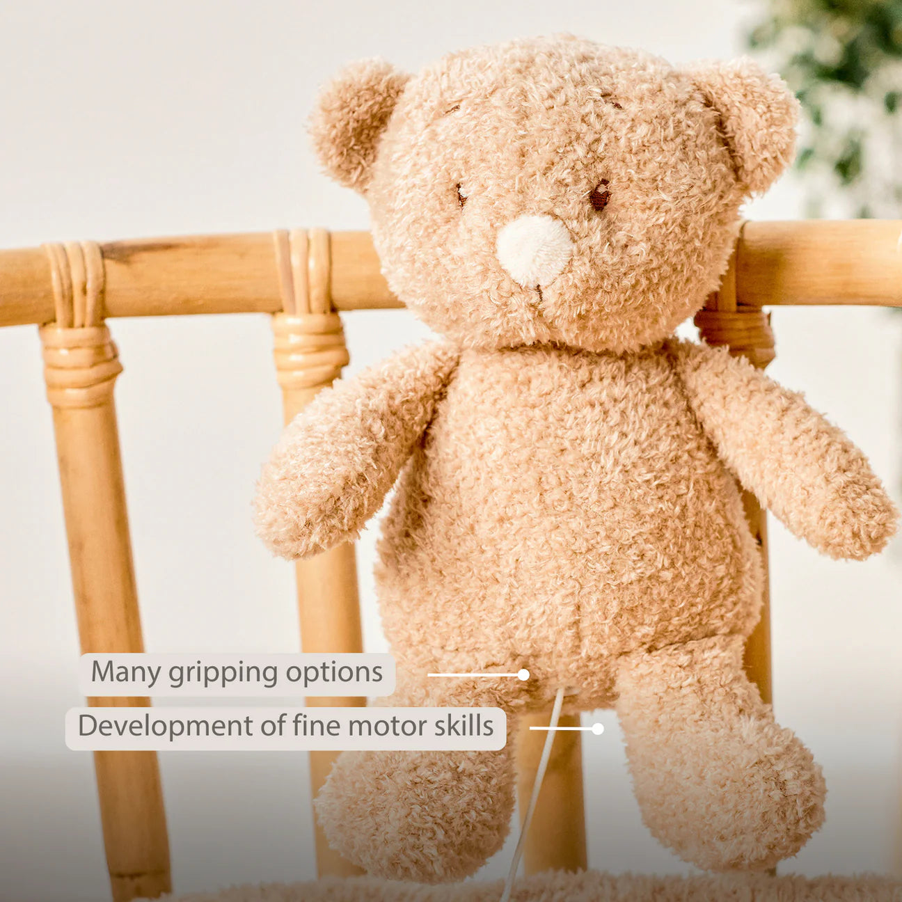 Nattou Musical Teddy - Baby Bear