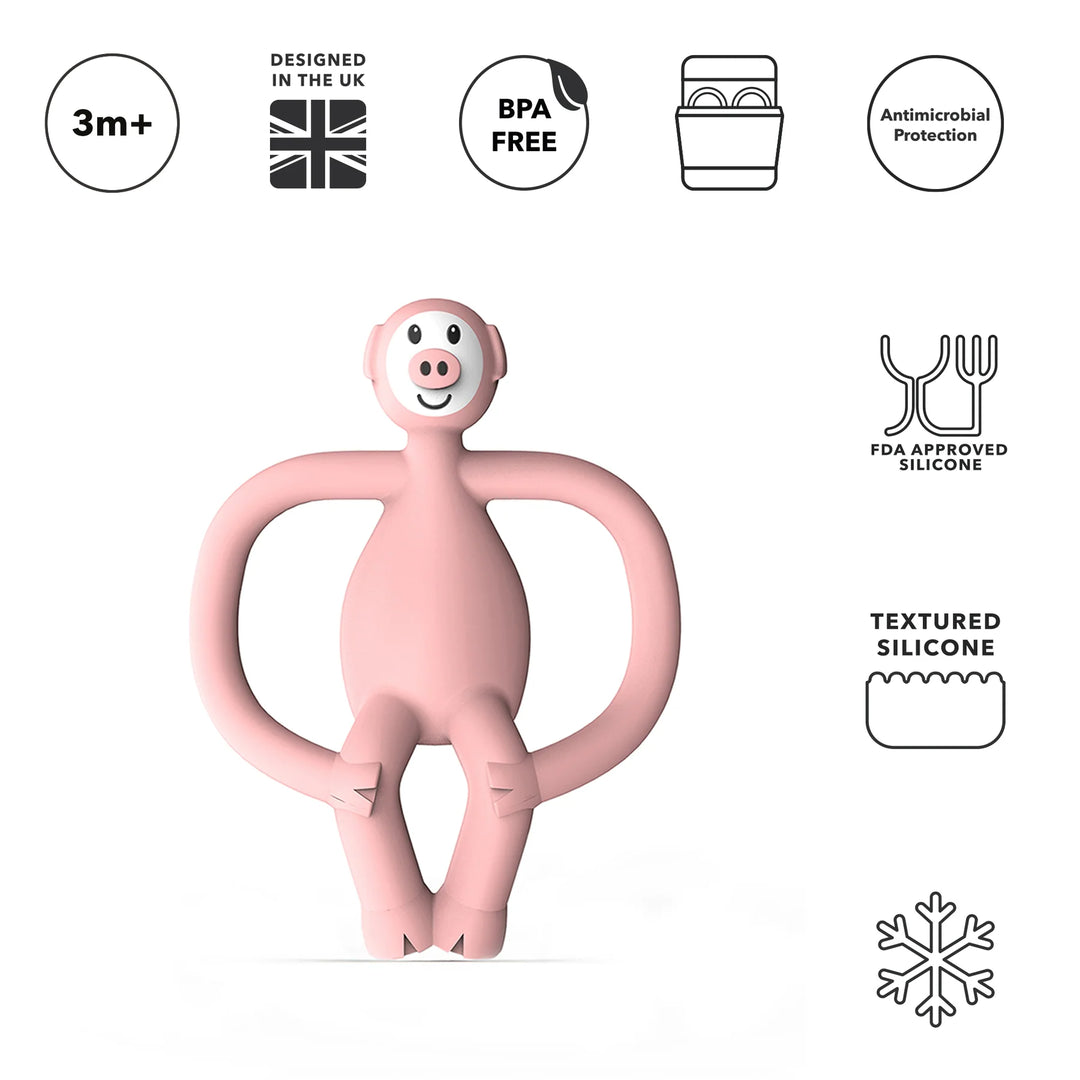 Matchstick Monkey Animal Teether - Pickle Pig