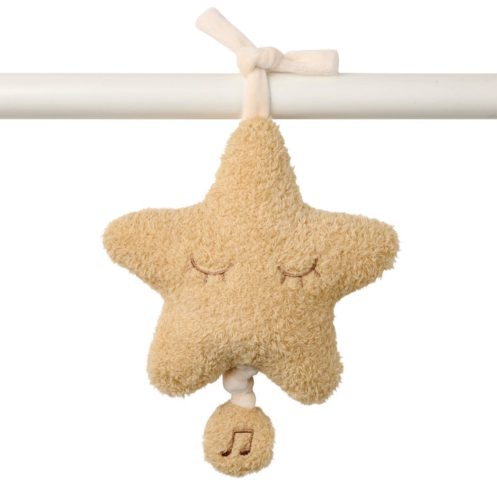 Nattou Teddy - Musical Star