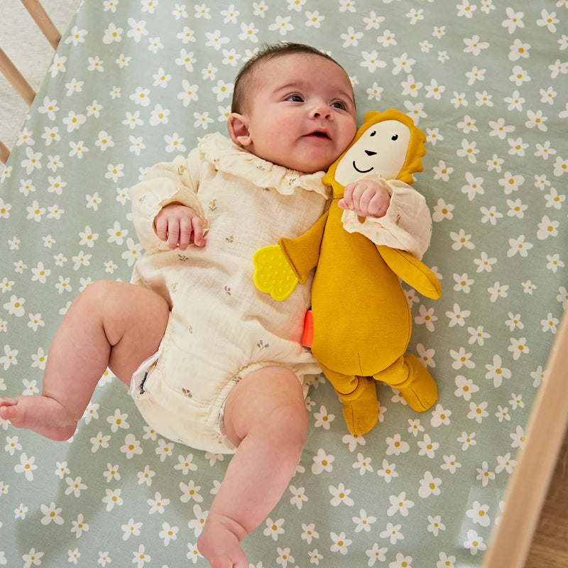 Matchstick Monkey Sensory Teething Teddy Set - Lion