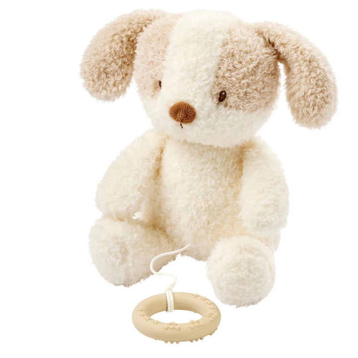 Nattou Musical Teddy - Baby Dog