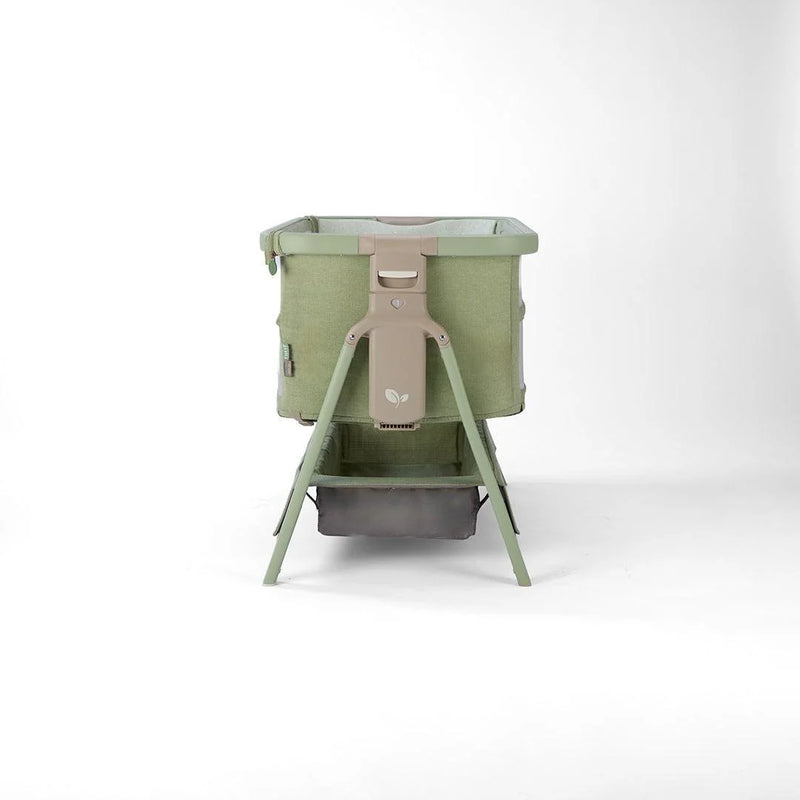 Tutti Bambini Cozee Zen Bedside Crib - Eucalyptus