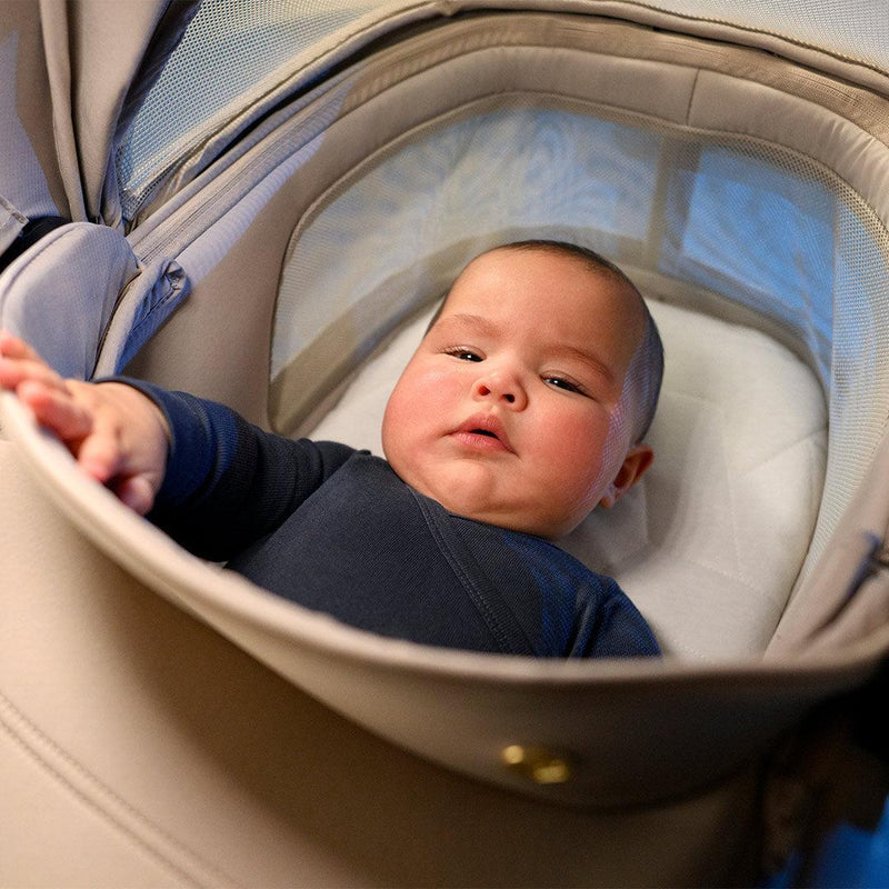 Maxi-Cosi Fame Cabin Stroller + Carrycot - Oak Truffle