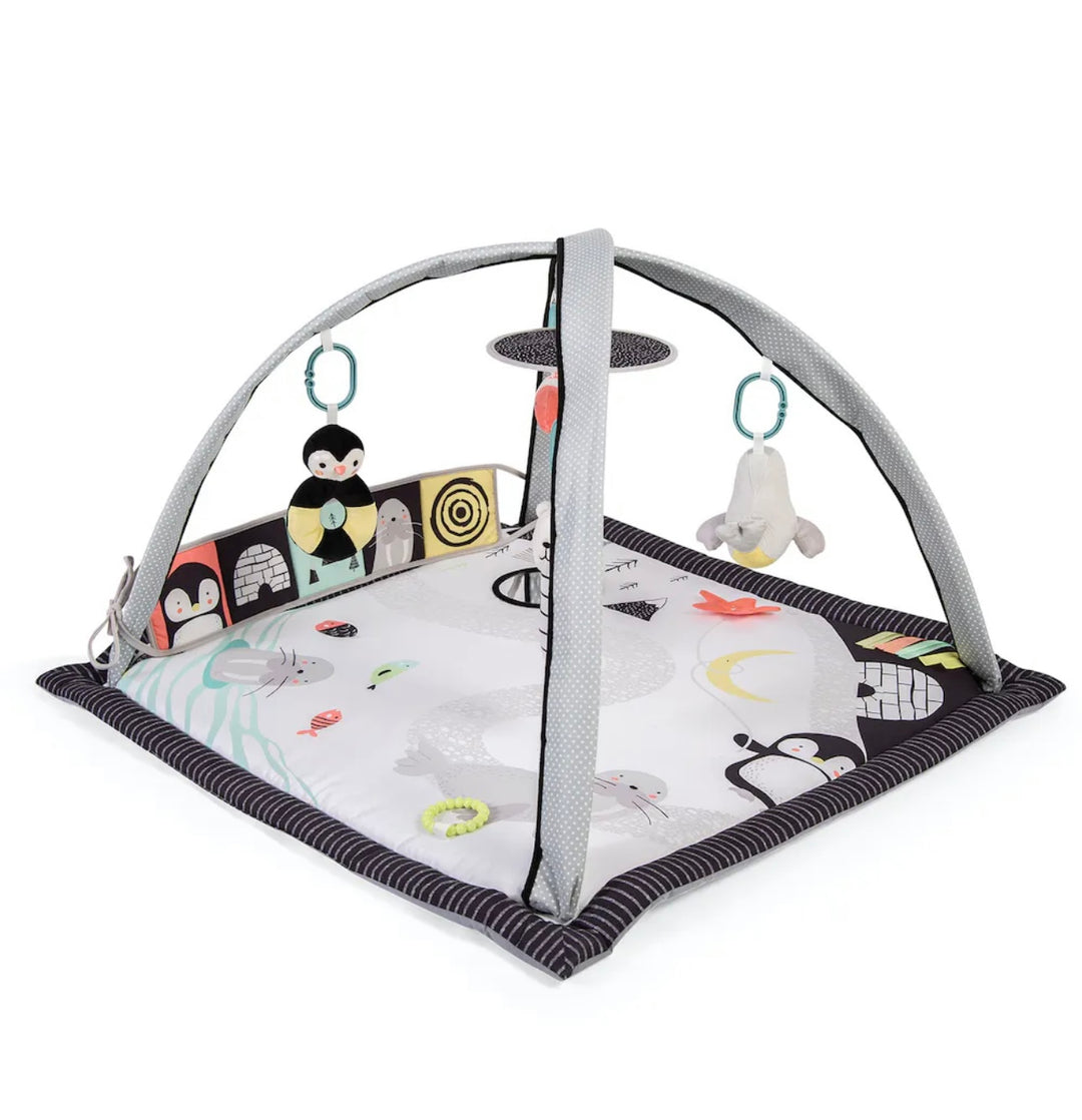 Red Kite Arctic Dreams Playgym