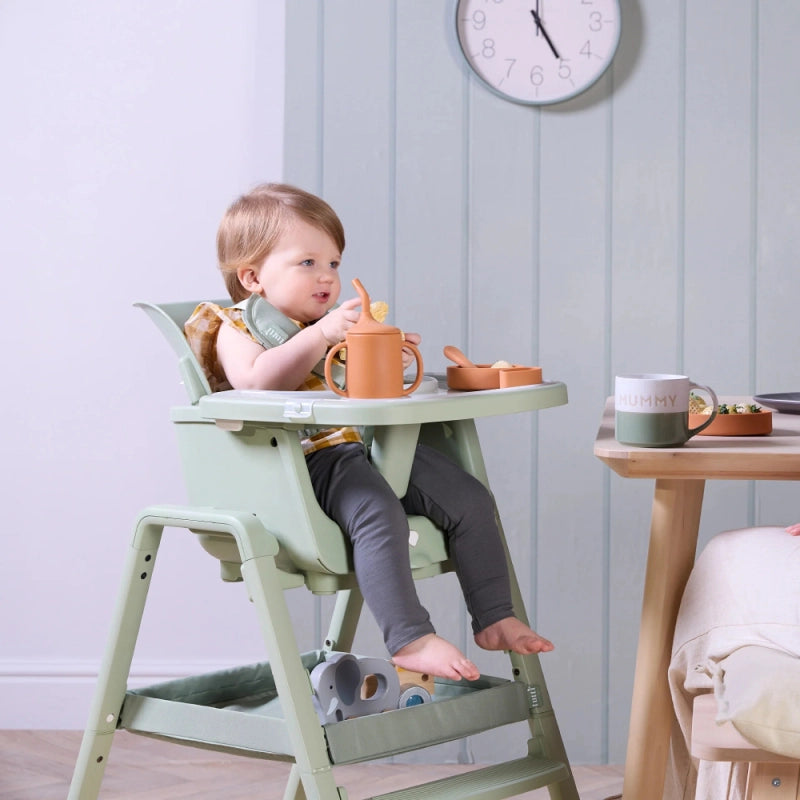 Tutti Bambini Nova Highchair Accessory Pack - Ginger