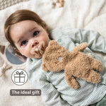 Nattou Pacifinder Teddy - Brown Bear
