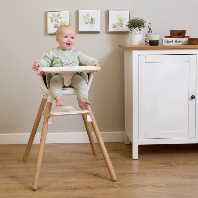 Clair De Lune 6in1 Highchair