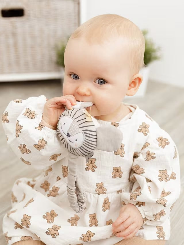 Cheeky Chompers Bertie the Lion Teething Gift Box - Biscuit
