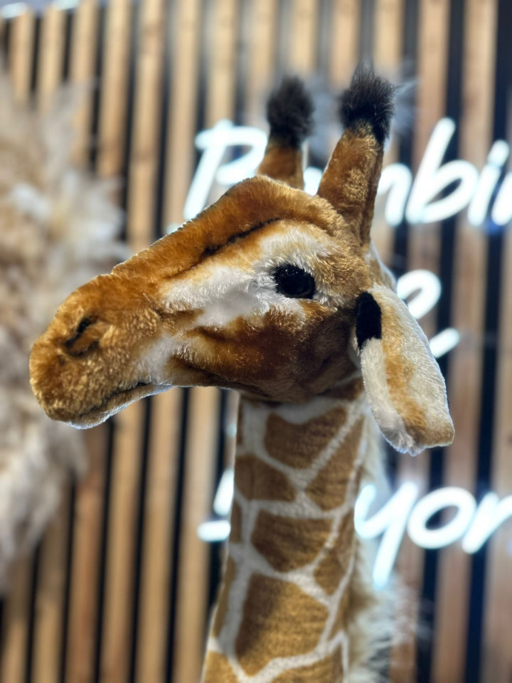 EX DISPLAY Child Home Standing Giraffe - 180cm