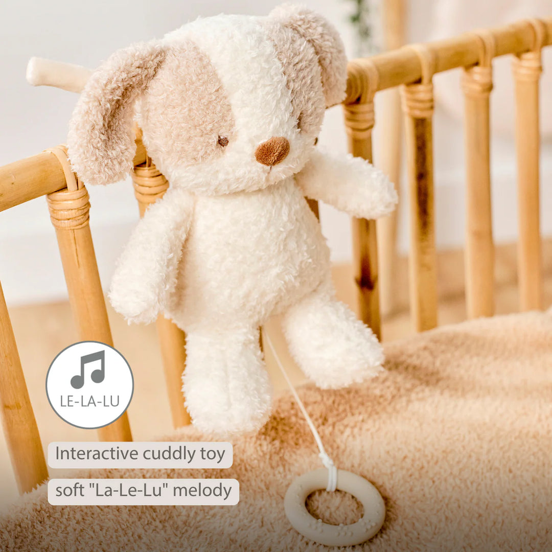 Nattou Musical Teddy - Baby Dog