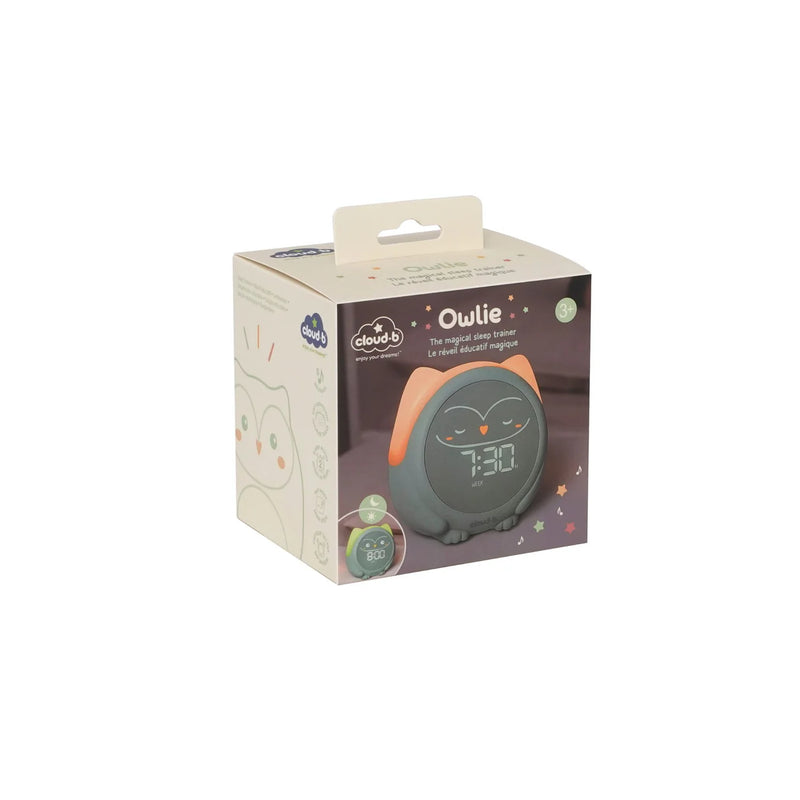 Cloud B Owlie Sleep Trainer
