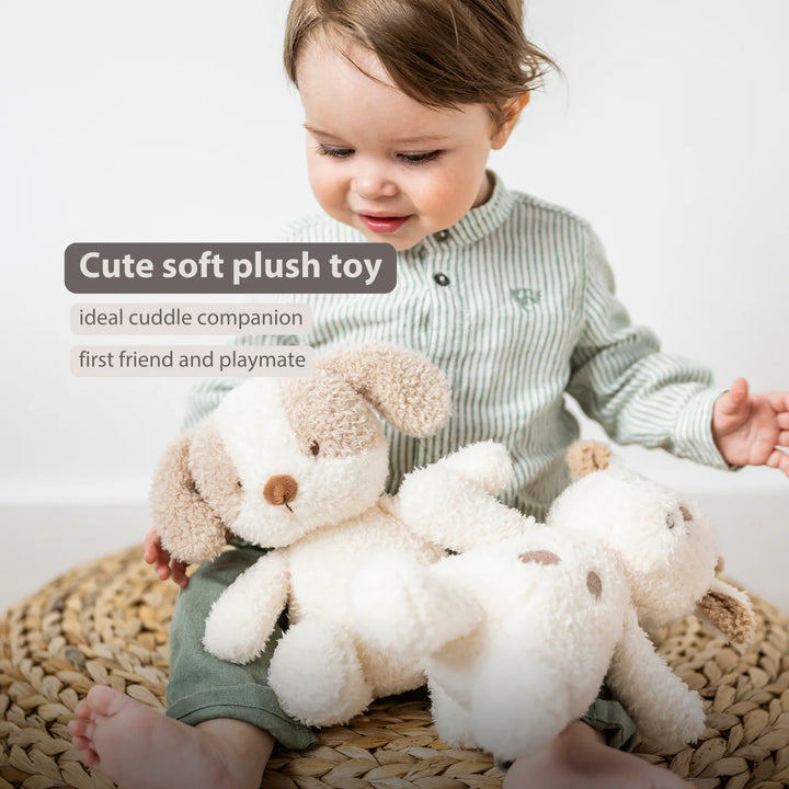 Nattou Mini Cuddly Teddy - Baby Dog