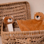 Little Big Friends Baby Gift Box - Jungle
