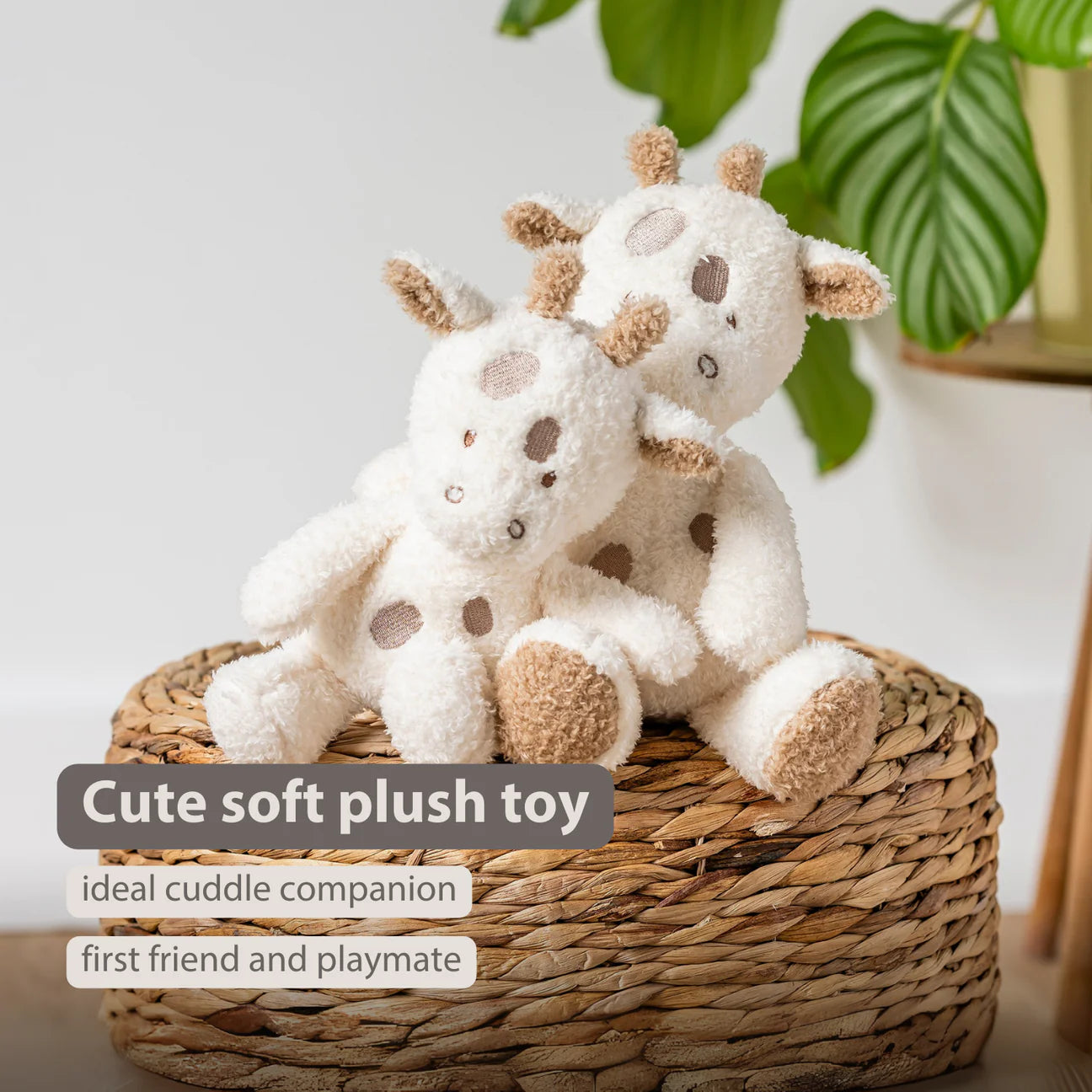 Nattou Mini Cuddly Teddy - Baby Giraffe