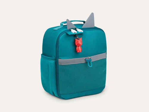 Carry Cases