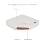 The Little Green Sheep Natural Crib Mattress SnuzPod5, SnuzPod Studio & SnuzPod3