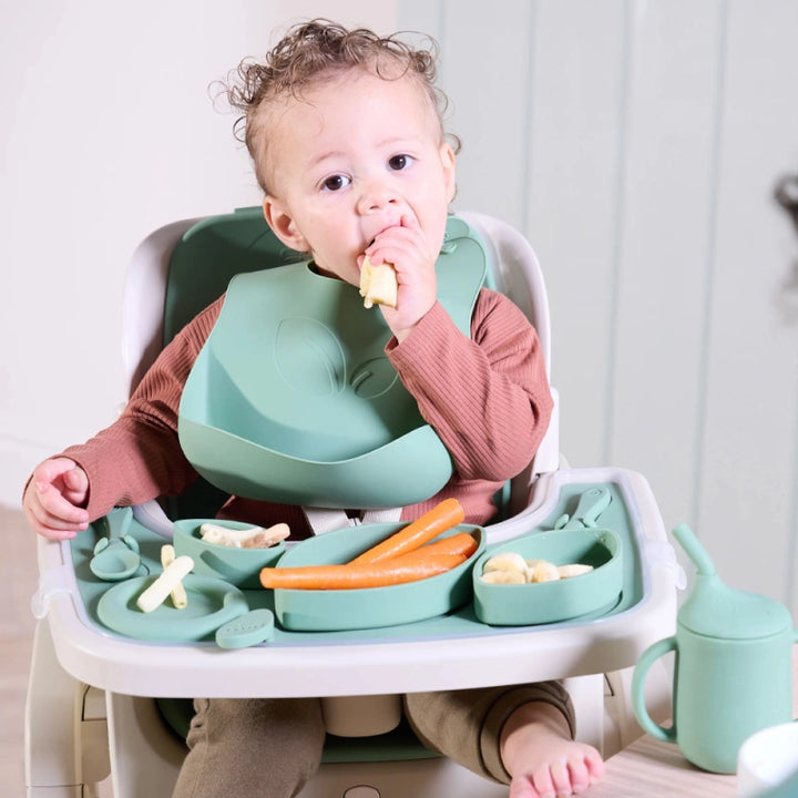 Tutti Bambini Nova Highchair Accessory Pack - Basil