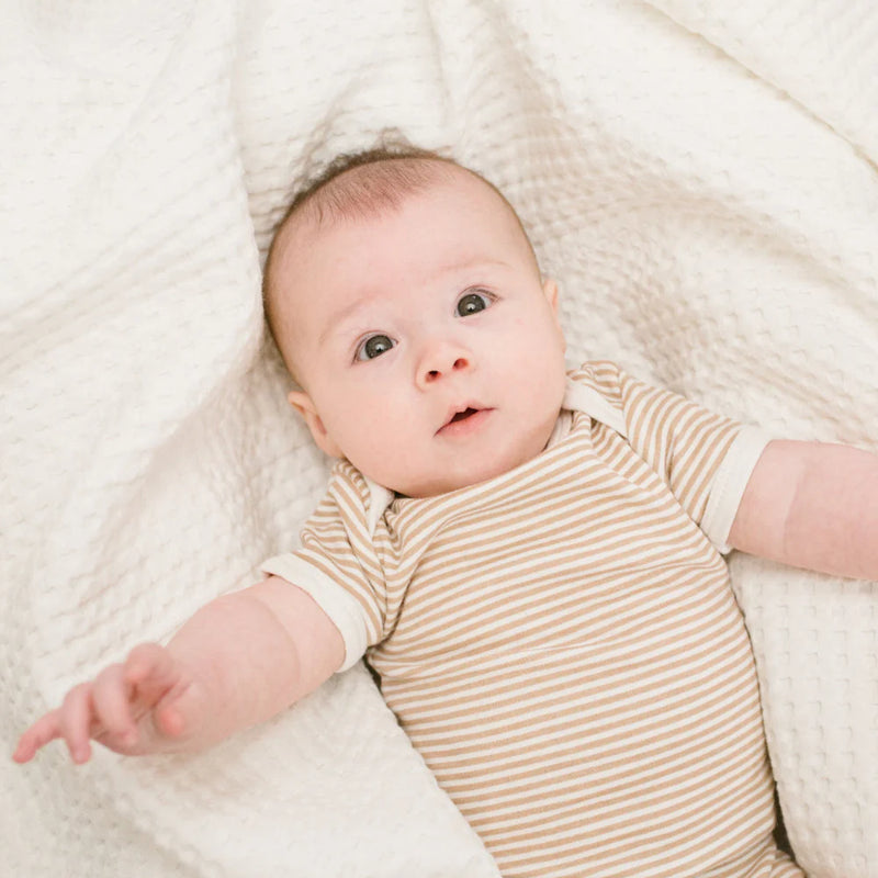 Lulujo Waffle Blanket - Cream Vanilla