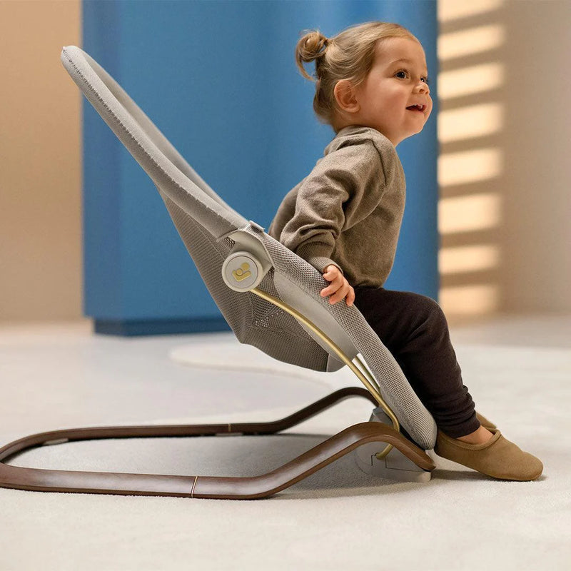 Maxi Cosi Dove Pro Bouncer + Toy Arch - Elegance Graphite