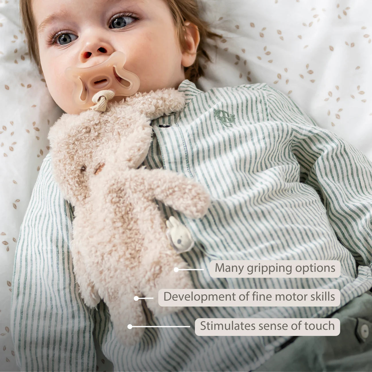 Nattou Pacifinder Teddy - Beige Bunny