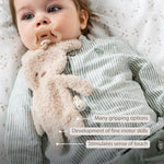 Nattou Pacifinder Teddy - Beige Bunny