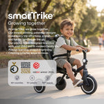 SmarTrike Wonder Max Stroller Trike - Sage/Olive