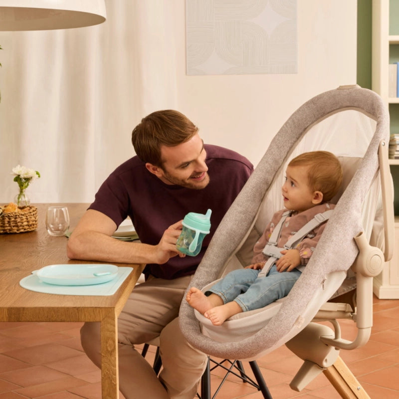 Chicco Baby Hug 4 in 1 Armonia - Scandinavian