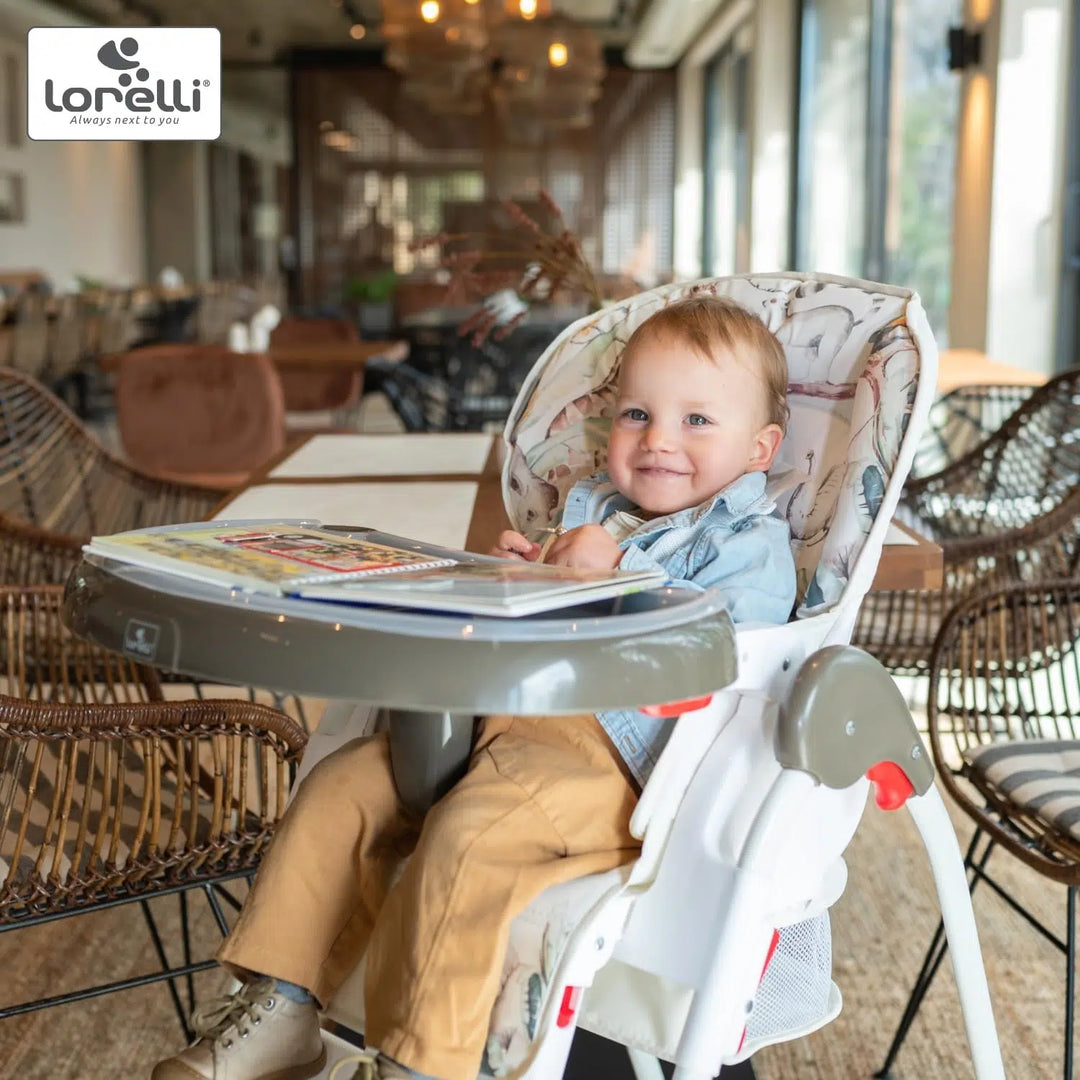 Lorelli Dulce Highchair – Grey
