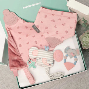 Cheeky Chompers Comfort & Chew Gift Box - Rainbow